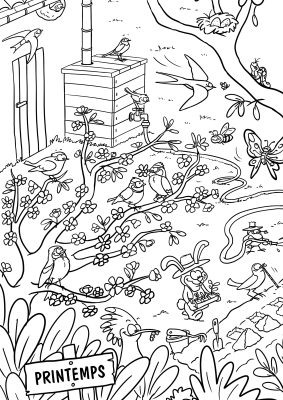Frise de coloriage LPO, 4 saisons au jardin