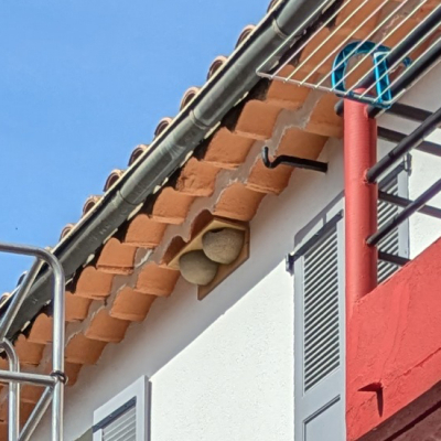 Nid double pour hirondelles de fenêtre