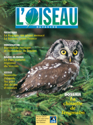 L'Oiseau Mag n° 55