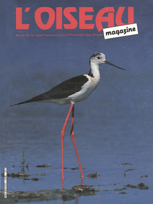 L'Oiseau Mag n° 28