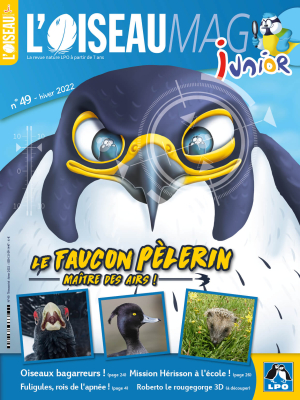 L'Oiseau Magazine Junior n°49
