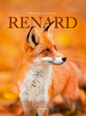 Renard, portraits sauvages - Nouvelle édition