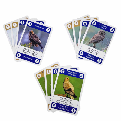 Et toc ! Rapaces