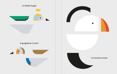 Oiseau + Oiseau, La mathématique des oiseaux