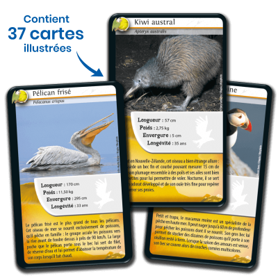 Défis Nature - Oiseaux (Nouvelle édition)