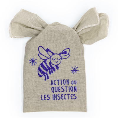 Action ou question ? Les insectes