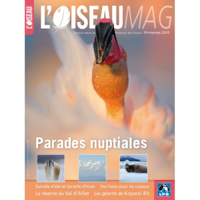 L'Oiseau Magazine N°118
