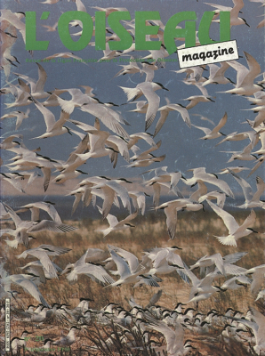 L'Oiseau Mag n° 20