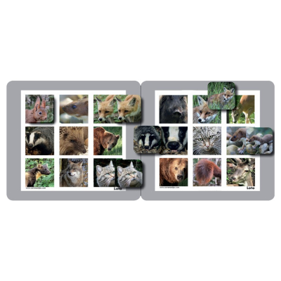 Memolo XL - 12 animaux des forêts