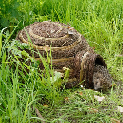 Gîte à hérisson Igloo