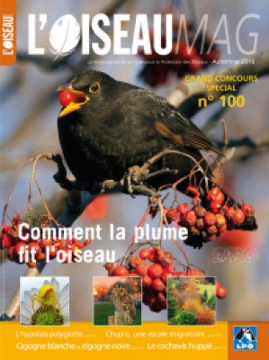 L'Oiseau Mag n° 100
