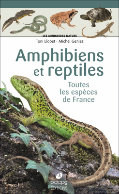 Amphibiens et reptiles - Les Miniguides Nature