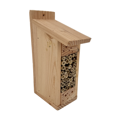 Gîte abeilles solitaires