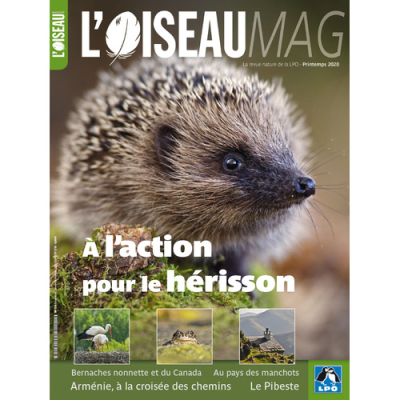 L'Oiseau Mag n° 138
