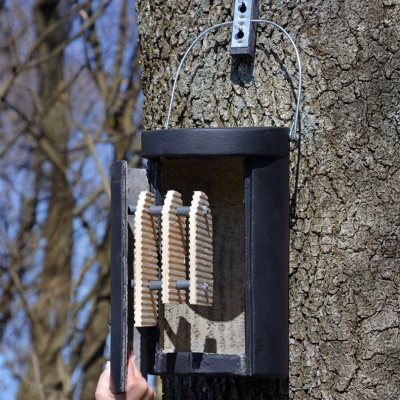 Gîte à chauve-souris Schwegler 1FS