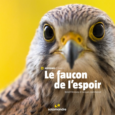 Le faucon de l'espoir