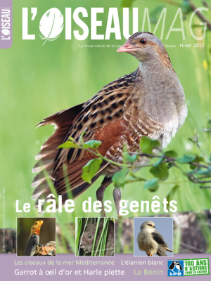 L'Oiseau Mag n°109