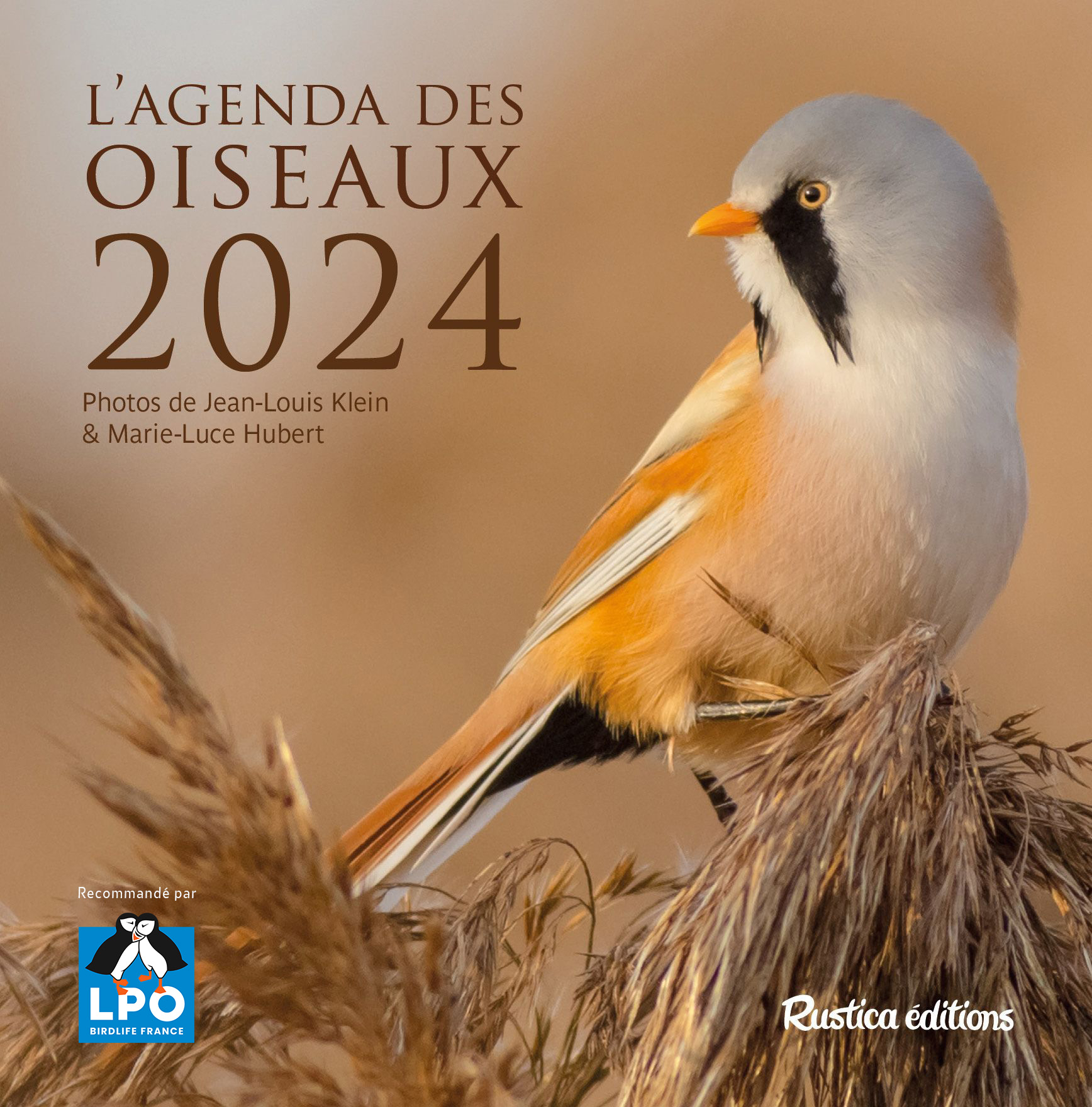 Calendrier Oiseaux du jardin 2024