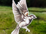 Anti-collisions électrostatiques Oiseaux des jardins - Lot de 4