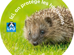 Kit LPO - Observer et protéger le hérisson