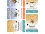 Les 9 familles de la mare