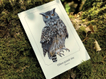 Carte postale simple 10 x 15 cm - Hibou grand-duc