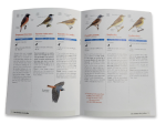 Guide LPO - Les oiseaux communs des jardins