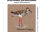 Kit broderie Chevalier Gambette