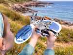 Éventail pédagogique LPO - Identifier les oiseaux marins