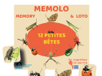 Memolo XL - 12 petites bêtes