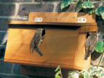 Nichoir Terrasse pour Moineaux