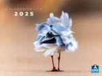 Calendrier LPO Oiseaux 2025