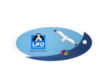 Éventail pédagogique LPO - Identifier les oiseaux marins