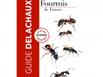 Guide des fourmis de France
