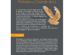 Histoires de Grands-Ducs