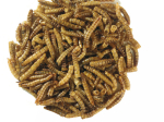 Vers de farine LPO 1 kg