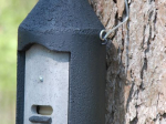 Gîte à chauve-souris Schwegler 2F DPF