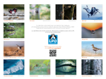 Calendrier LPO 2027 Oiseaux