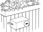 Nichoir Martinet Schwegler n°17 B