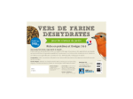 Vers de farine LPO 500g