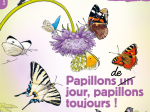 Papillons de jour, papillons toujours !