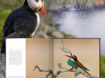 Extraordinaires oiseaux