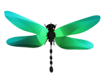 Libellule Anisoptère 3D en papier, DIY