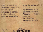 Graines Bio Digitale pourpre