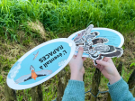 Éventail pédagogique LPO - Identifier les rapaces