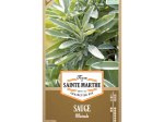 Graines Bio Sauge officinale