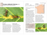 Guide des fourmis de France