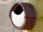 Nichoir Woodstone Ovale semi-ouvert