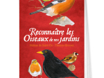 Reconnaître les Oiseaux de nos jardins