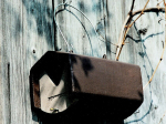 Nichoir Schwegler 2HW semi-ouvert